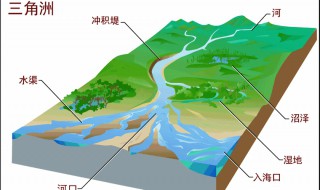 奴河三角洲湖泊众多的原因(三角洲形成原因)