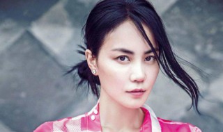 王菲个人资料介绍(王菲的简介)