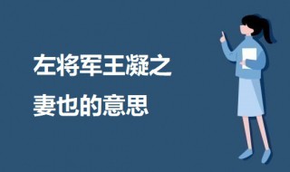 左将军王凝之妻也的意思(出自何处)
