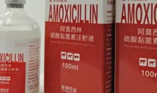 阿莫西林不能和什么一起吃(服用阿莫西林的禁忌)