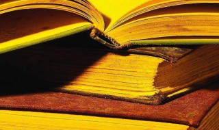 不了情的意思(不了情的解释)