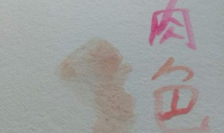 肉色怎么调(具体怎么调)