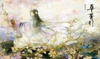 唐七公子作品(唐七公子有什么作品)