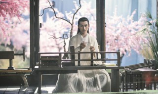 三生三世枕书哪个台播(你有去看吗)