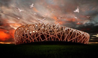 鸟巢介绍(鸟巢的简介)