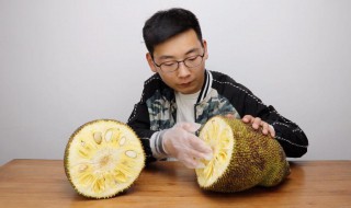 菠萝蜜的胶粘在手上怎么洗掉(菠萝蜜的胶粘在手上的清洗技巧)