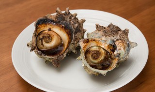 螺蛳上的青苔怎么去除(田螺上的青苔怎么洗最快最干净)