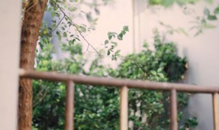 前路漫漫雨纷纷谁在痴痴等什么歌(无期歌词)
