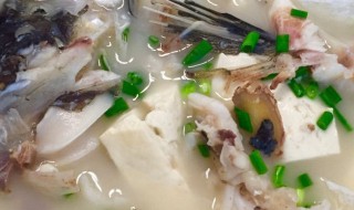 生鱼汤的做法和功效(生鱼汤怎么做好吃)