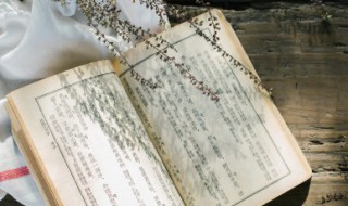 红楼梦第十三回概括(红楼梦第十三回的主要内容)