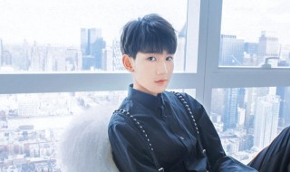 王源资料(王源资料介绍)