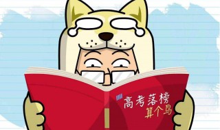 职业高中可以考本科吗(你打算考吗)
