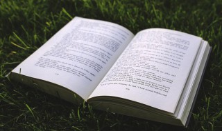 稍安勿躁的意思是(稍安勿躁的解释)