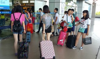 地陪是什么意思(地陪简单介绍)