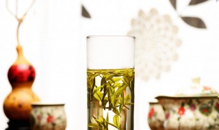 肉桂属于哪种茶(肉桂是什么茶)
