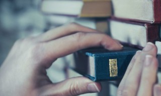 新二十四孝的内容是什么(新二十四孝特点)