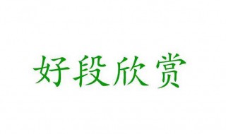 好段加赏析(好句好段摘抄加赏析)