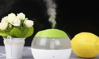 加湿器的作用及好处与坏处(加湿器有什么作用