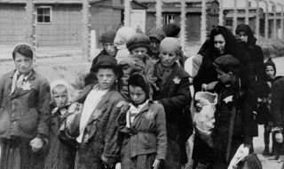 二战纳粹集中营的电影(这几部都是您要找的电影)