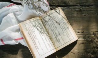 心随所愿是什么意思(什么是心随所愿)