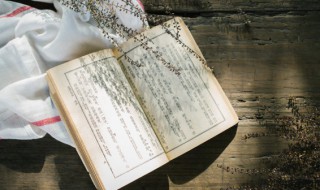 阿斗是谁(阿斗的简介)