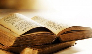 文爱什么意思(文爱解释)