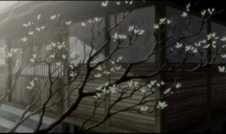 宠辱不惊看庭前花开花落原文(原文及释文介绍)