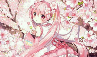 千本樱歌词(千本樱的歌词是什么)