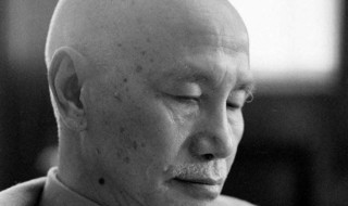 蒋介石简介(蒋介石个人简介)