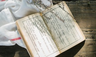 吾匮卿汝愿乎什么意思(吾匮卿汝愿乎的意思)