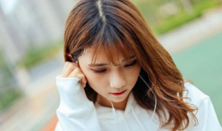渡情歌词(歌曲渡情歌词)