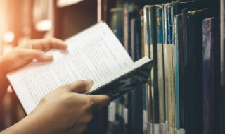 polyester是什么面料成分(polyester的介绍)