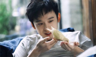 董子健个人资料(董子健个人介绍)