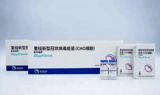 新冠疫苗cho细胞是什么意思(新冠疫苗cho细胞的解释)