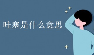 哇塞是什么意思(科普哇塞的意思)