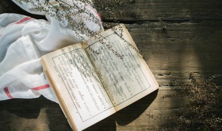 虞是什么意思(虞字的解释)