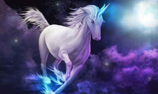 独角兽是什么意思(独角兽的寓意)