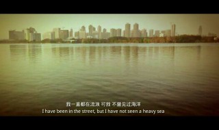 我一直都在流浪可我不曾见过海洋是什么歌(残酷月光歌词)