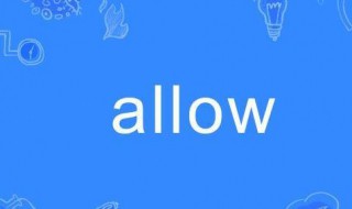 allow是什么意思(allow的解释)