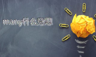 many什么意思(many的读音是什么)