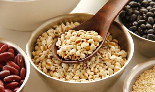 红豆薏米喝了8天瘦了4斤(红豆薏米喝了8天瘦了4斤是否可能)