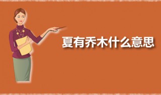 夏有乔木什么意思(夏有乔木出自诗经吗)