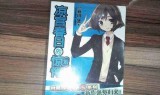 凉宫春日的惊愕介绍(凉宫春日的惊愕简介)