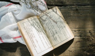 随心而动是什么意思(随心而动是啥意思)