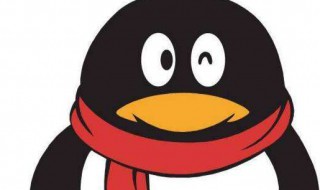 新建qq号怎么做(qq号怎么申请)