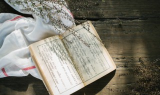 人至贱则无敌是啥意思(人至贱则无敌是啥意思是什么)
