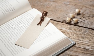 priest什么意思(priest意思介绍)