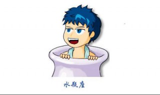水瓶座男生的智商(水瓶座男怎么样)