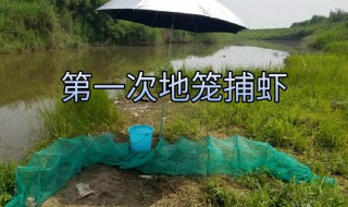 地笼捕虾技巧(这样做捕到的虾又大又多)