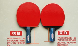 乒乓球直拍和横拍的区别(乒乓球直拍和横拍的区别介绍)